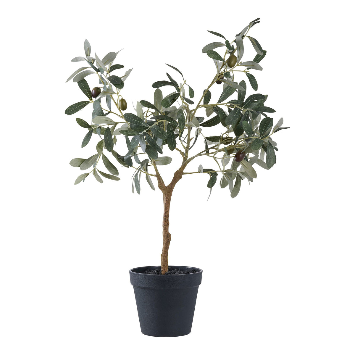 Tree OLIVE 9501002