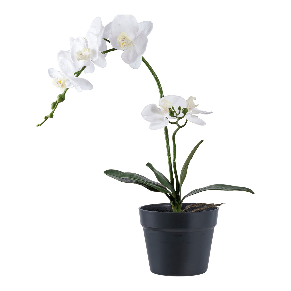 House Nordic ORCHID 9501003 — Soft Room, Costa del Sol, España