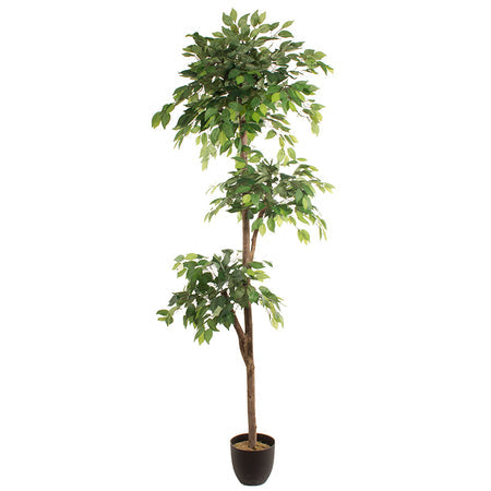 Artificial plant FICUS 2.20m — Soft Room, Costa del Sol, Spain