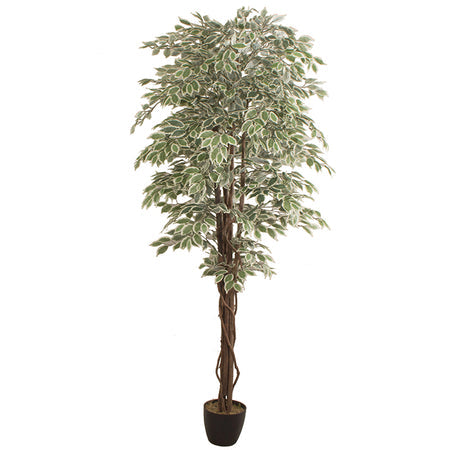 Planta artificial FICUS 2.40m