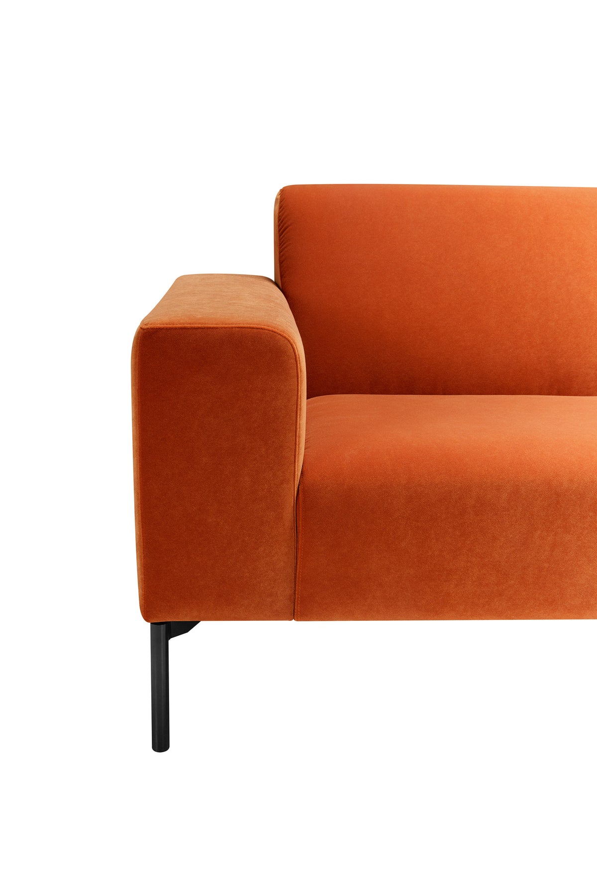 SITS Paul — imagen de la colección