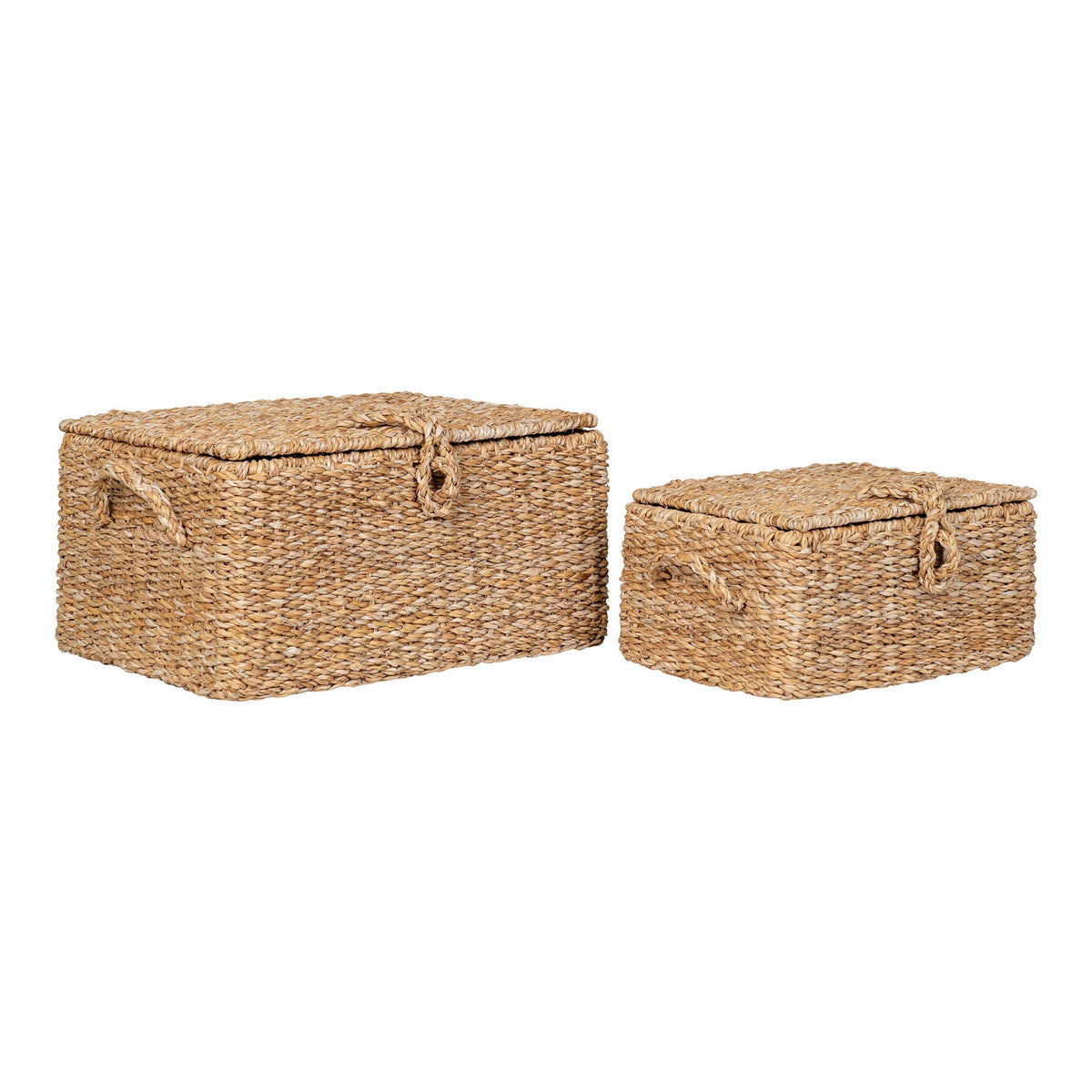 Baskets BOGRA 4401555