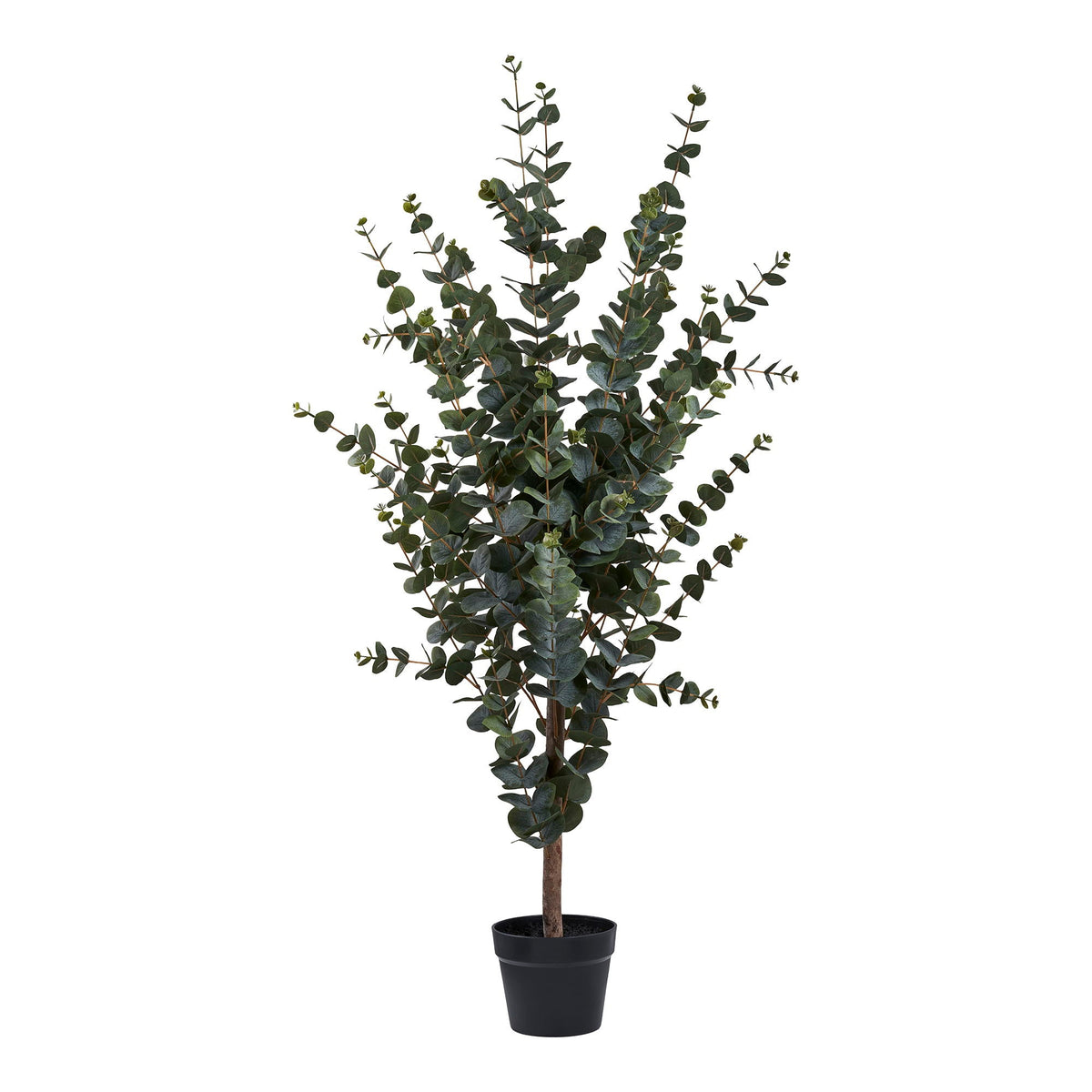 House Nordic Дерево EUCALYPTUS 9501015 — Soft Room, Коста-дель-Соль, Испания