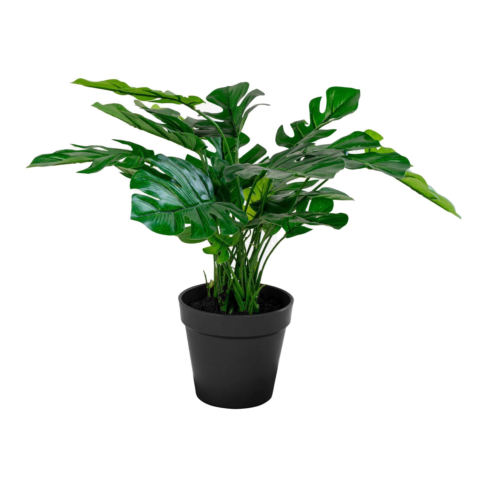 House Nordic MONSTERA 9501040 — Soft Room, Costa del Sol, Spain