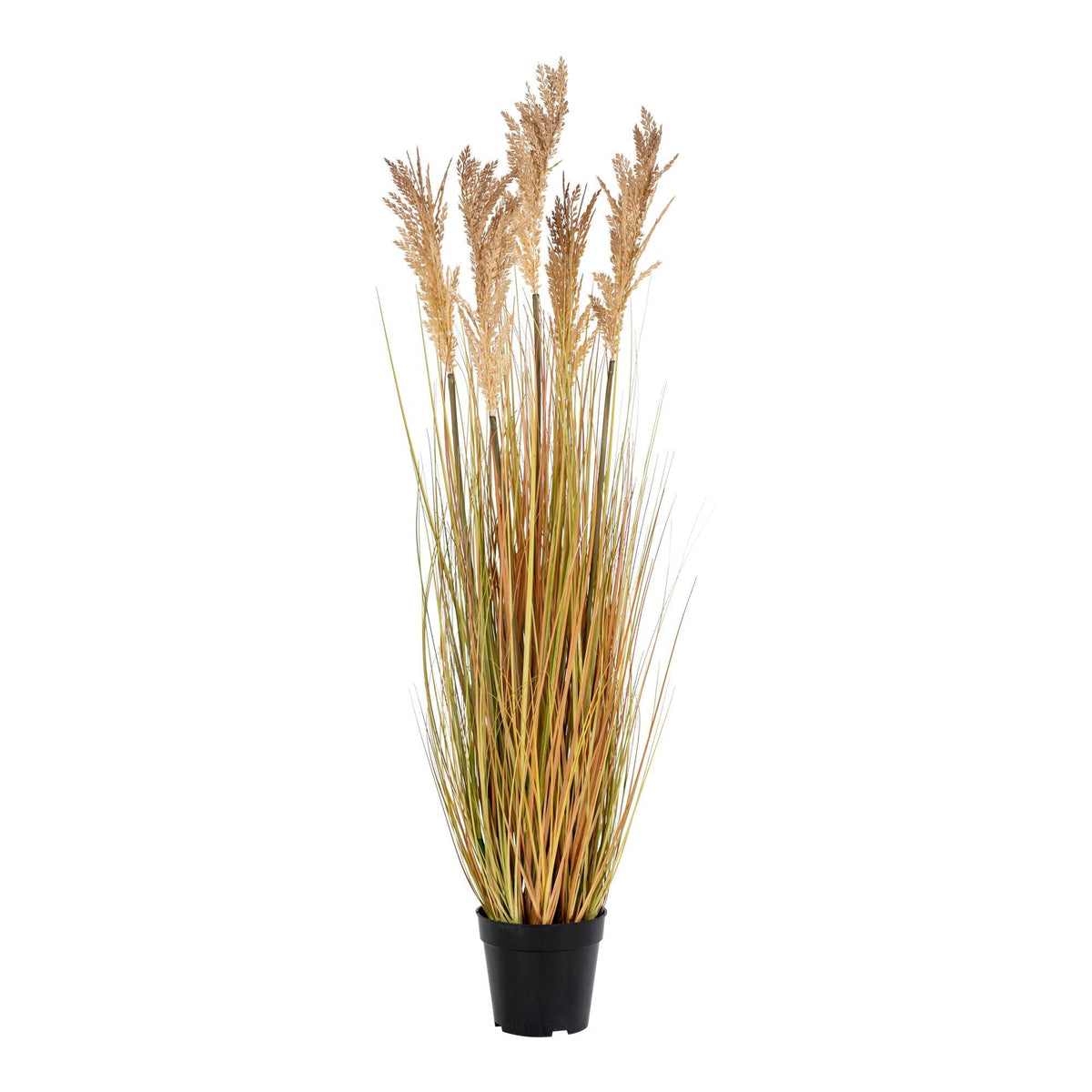 House Nordic Grass SORGHUM 9501070 — Soft Room, Costa del Sol, Spain