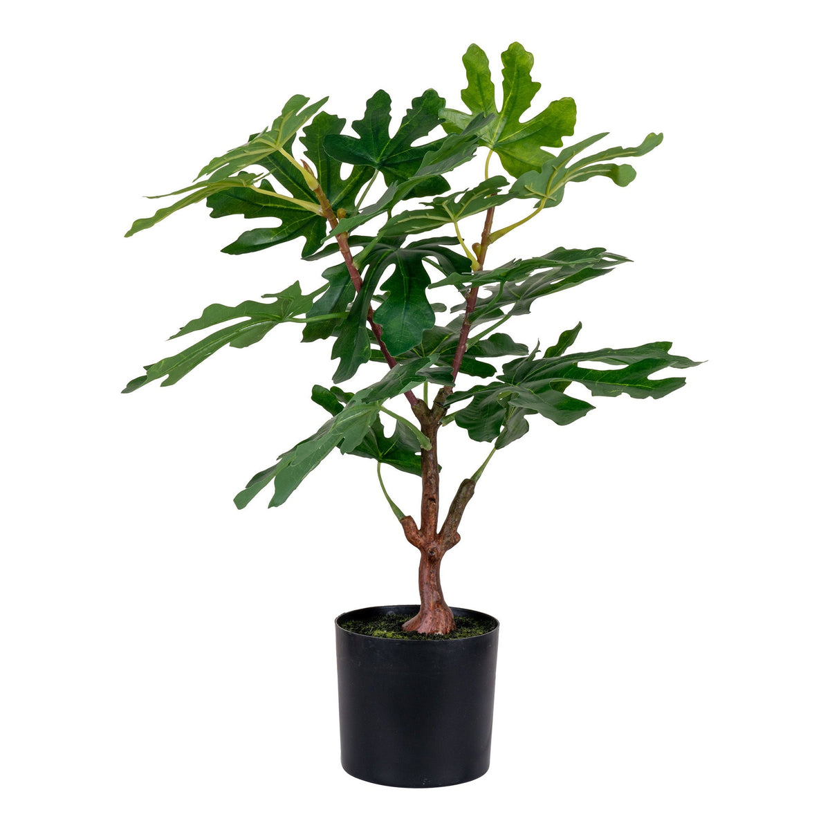 House Nordic Tree FIG 9501110 — Soft Room, Costa del Sol, Spain