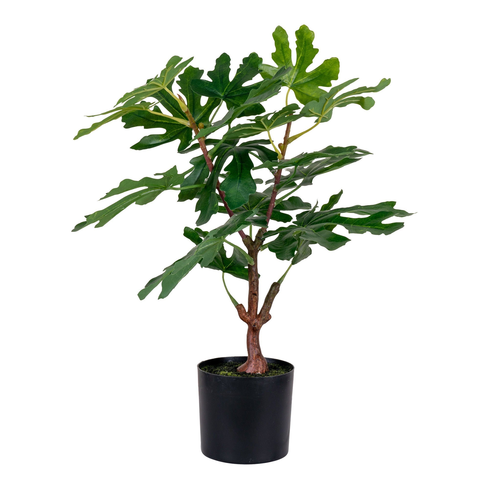 House Nordic Tree FIG 9501110 — Soft Room, Costa del Sol, Spain
