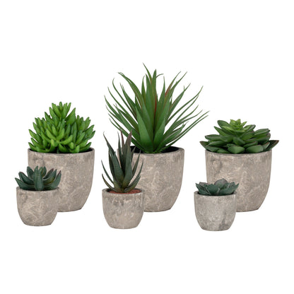 House Nordic Flower Display SPELLO 9501510 — Soft Room, Costa del Sol, Spain