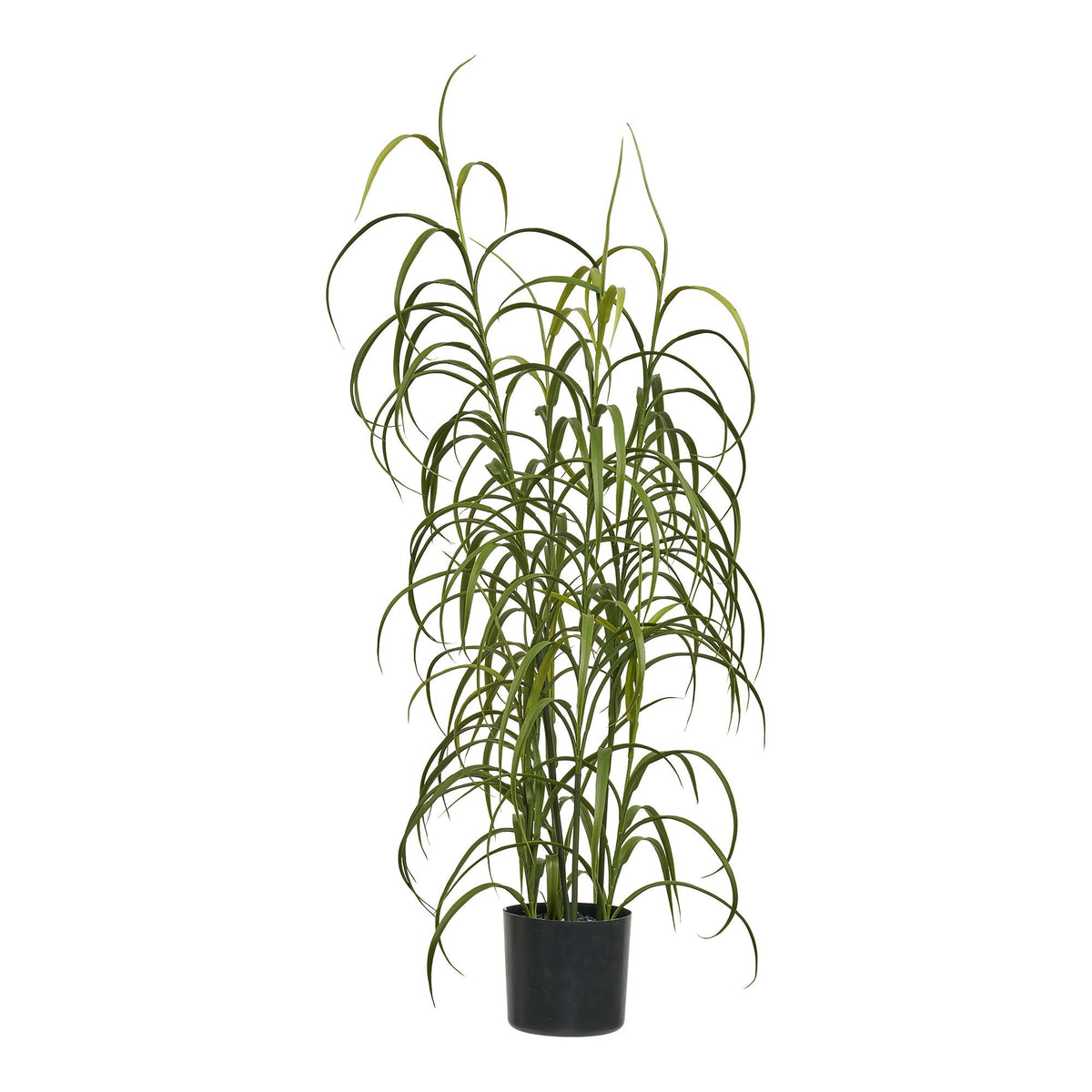 House Nordic Plant GRASS 9510003 — Soft Room, Costa del Sol, Spain