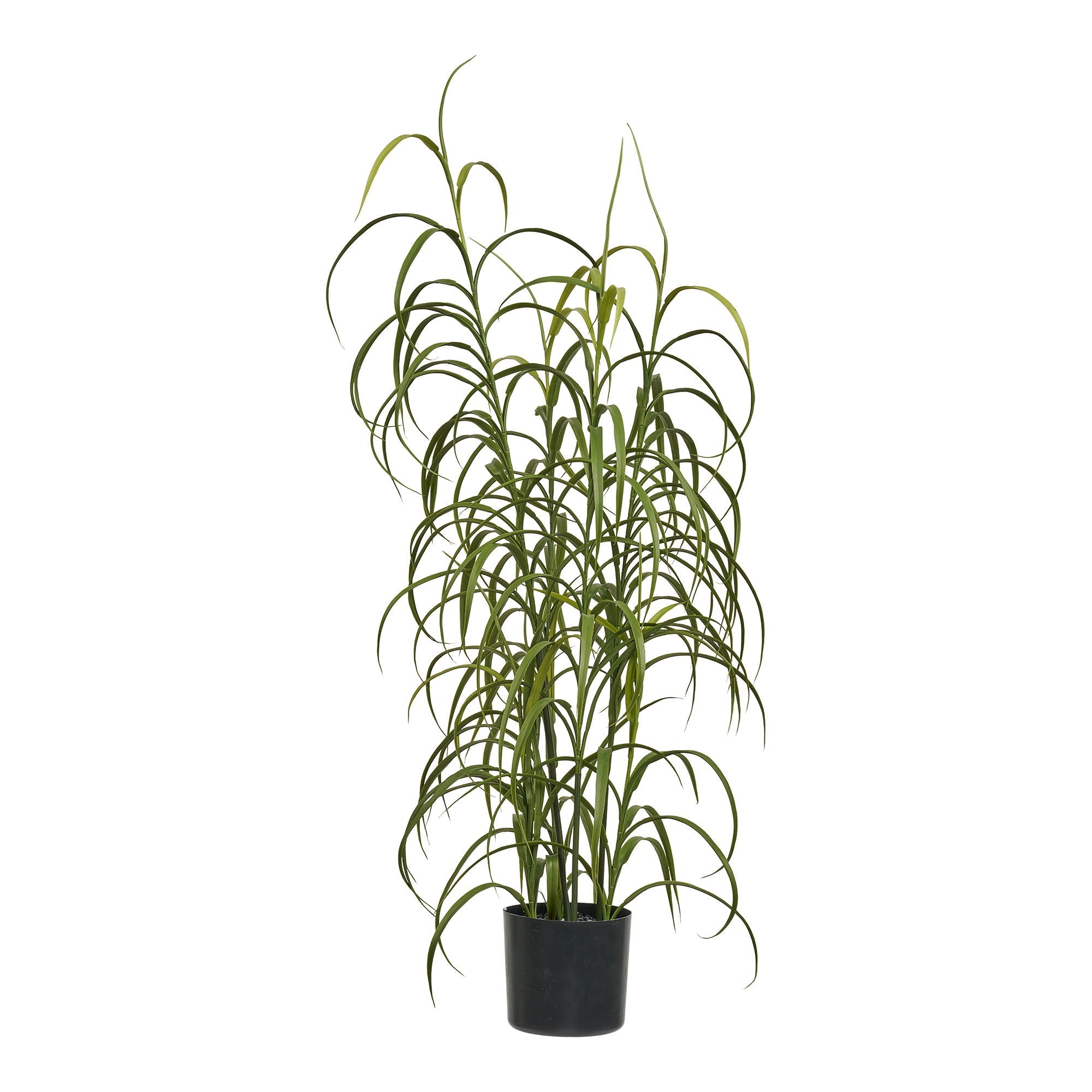 House Nordic Plant GRASS 9510003 — Soft Room, Costa del Sol, Spain