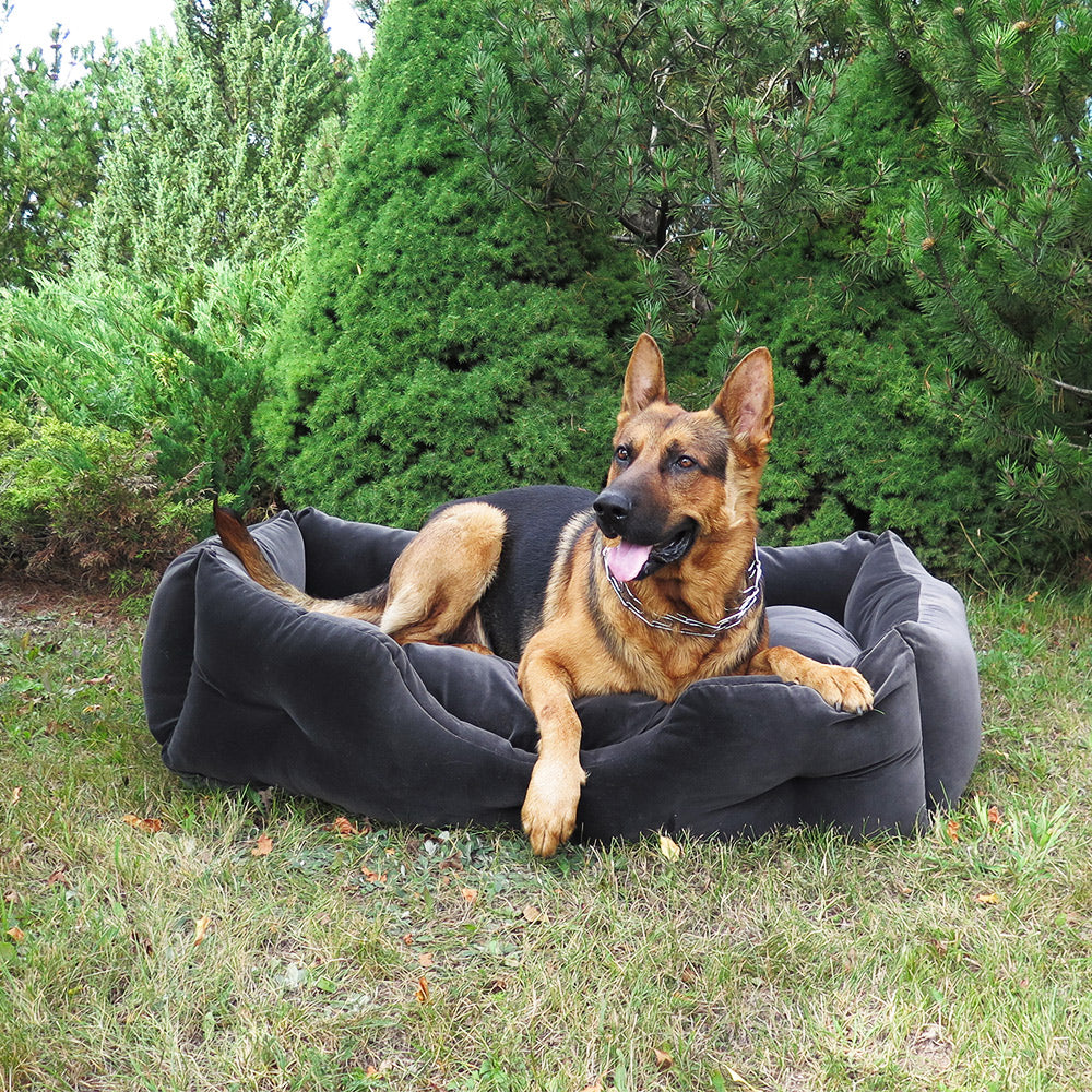 Animal bed PET BED S
