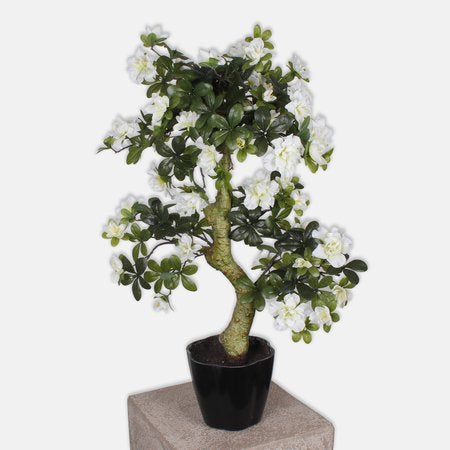 Искусственное растение AZALEA BONSAI — Soft Room, Коста-дель-Соль, Испания