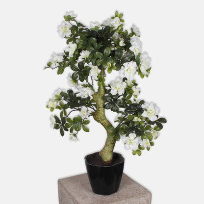 Искусственное растение AZALEA BONSAI — Soft Room, Коста-дель-Соль, Испания