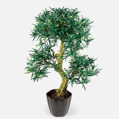 Artificial plant BONSAI — Soft Room, Costa del Sol, Spain