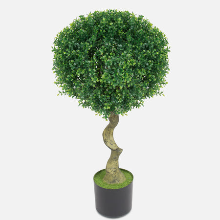 Planta artificial BOXWOOD — Soft Room, Costa del Sol, España