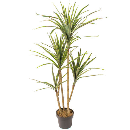 Искусственное растение DRACAENA 1.40м — Soft Room, Коста-дель-Соль, Испания