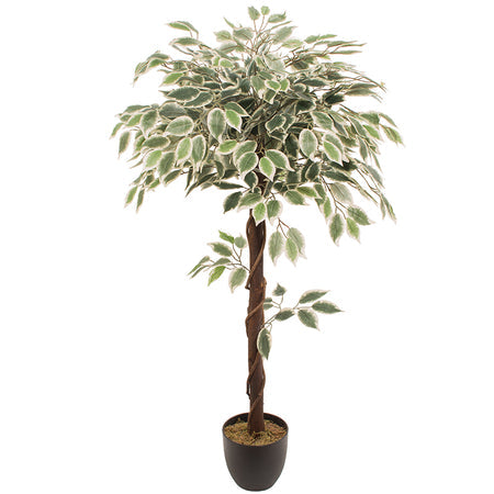 Искусственное растение FICUS 1.20м — Soft Room, Коста-дель-Соль, Испания