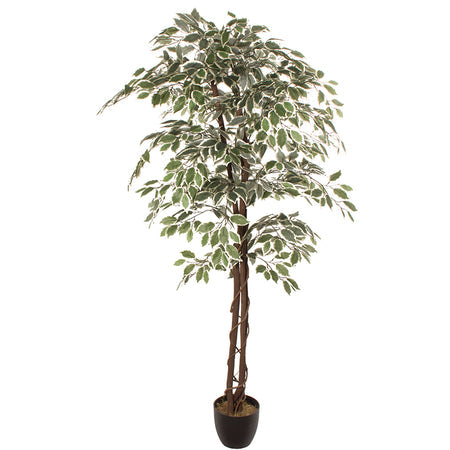 Искусственное растение FICUS 1.80м — Soft Room, Коста-дель-Соль, Испания
