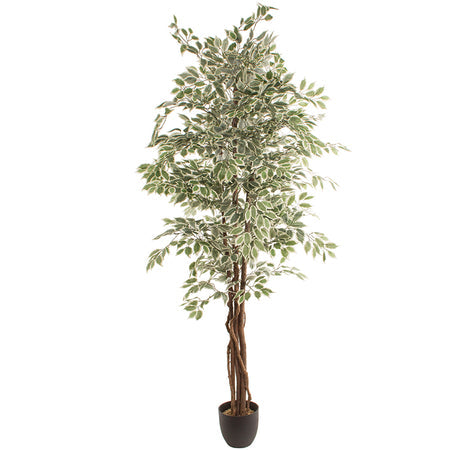 Искусственное растение FICUS 2.20м